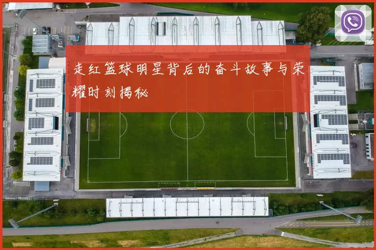 走红篮球明星背后的奋斗故事与荣耀时刻揭秘
