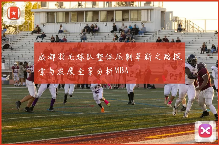成都羽毛球队整体压制革新之路探索与发展全景分析MBA