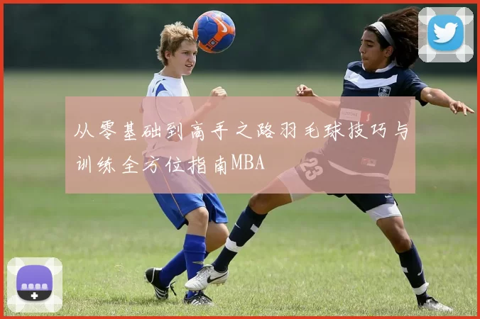 从零基础到高手之路羽毛球技巧与训练全方位指南MBA