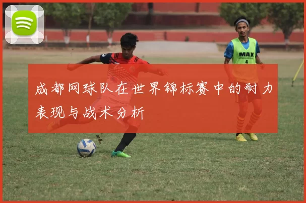 成都网球队在世界锦标赛中的耐力表现与战术分析