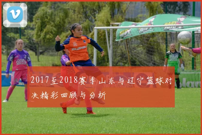 2017至2018赛季山东与辽宁篮球对决精彩回顾与分析